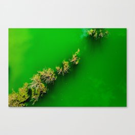Green  Canvas Print