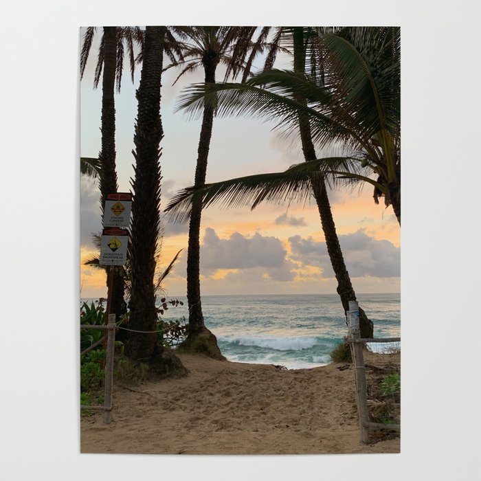 hawaii Poster