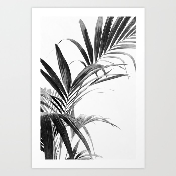Palm Leaves Black and White 03 Art Print