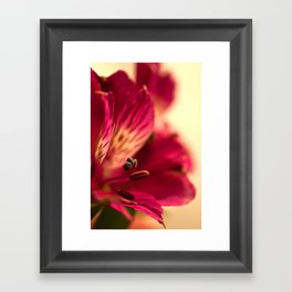 {lily the pink} Framed Art Print