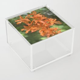 Orange lilies Acrylic Box