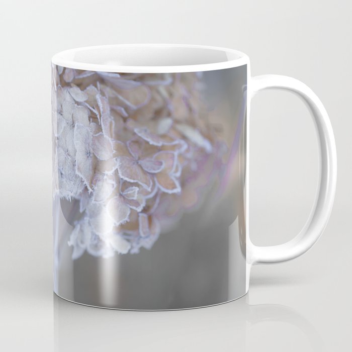 Frost Petals Of Hydrangea  Coffee Mug
