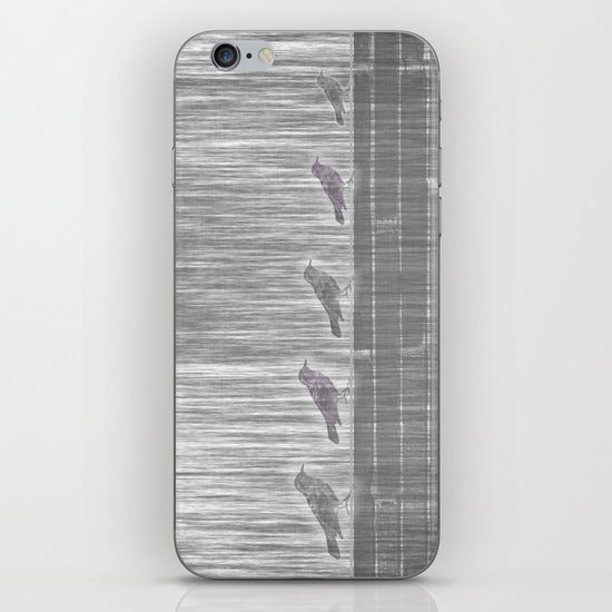 FIVE LITTLE BIRDS iPhone & iPod Skin