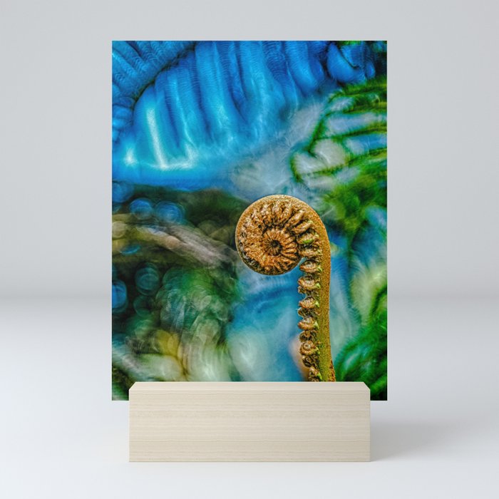 Fiddle Head Fern Frond Unfurling Mini Art Print