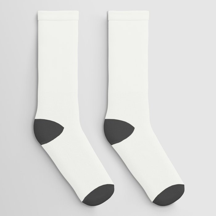 Neutral Off White Inspired by PPG Glidden Delicate White PPG1001 1