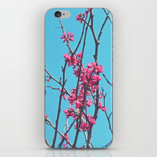 Let's Party! iPhone & iPod Skin