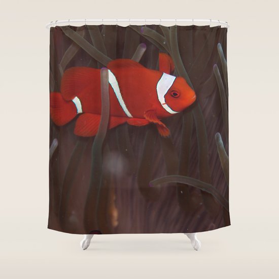 Crimson Clownfish Shower Curtain By Scubaprincess Society6