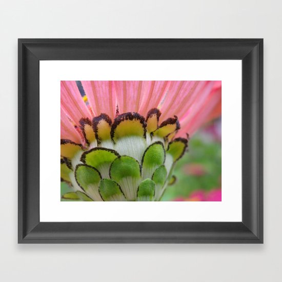 flower Framed Art Print