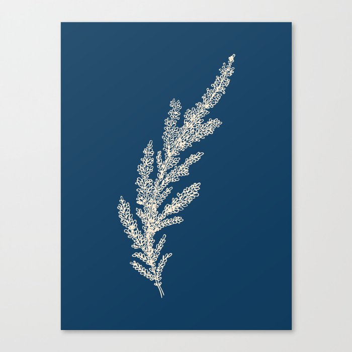 Lavender Flowers Nature Floral Blue Beige Cyanotype Canvas Print