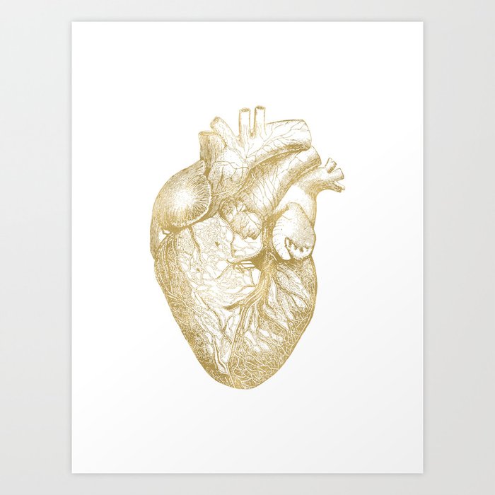 Heart Anatomical - Gold Art Print