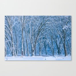 White Forest Canvas Print