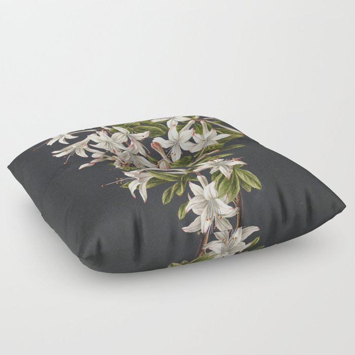Azalea Flowers Vintage Botanical Print Floor Pillow