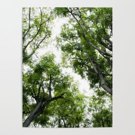 Green Trees Dream #1 #wall #art #society6 Poster
