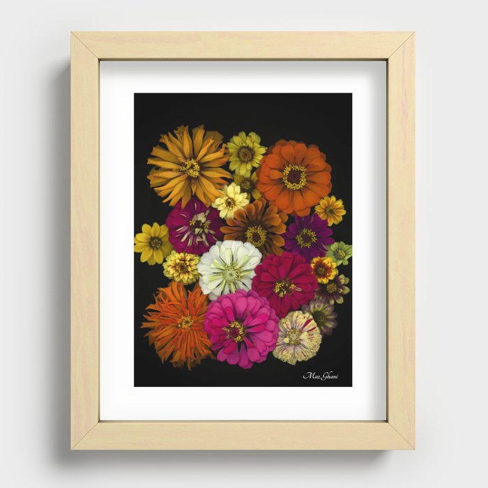 Zinnia Recessed Framed Print