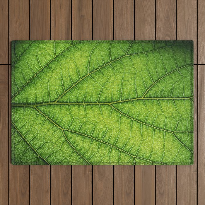 Macro Green leaf 5 Outdoor Rug