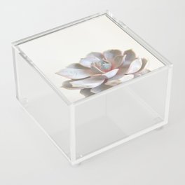 Pink Succulent Acrylic Box