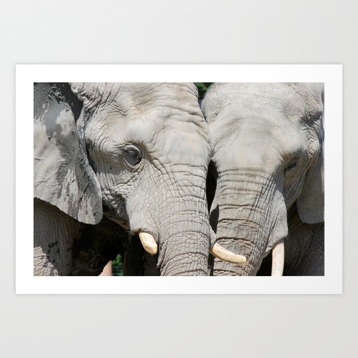 Elephant Whispers Art Print