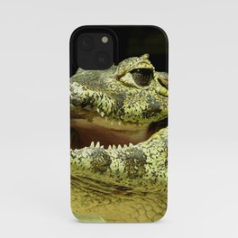 Friendly laughing crocodile iPhone Case
