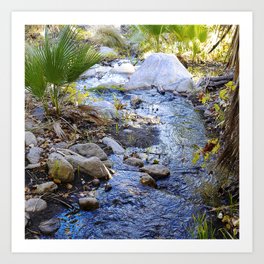 Peacefully Tranquil Creek: An Oasis Of Serenity Art Print