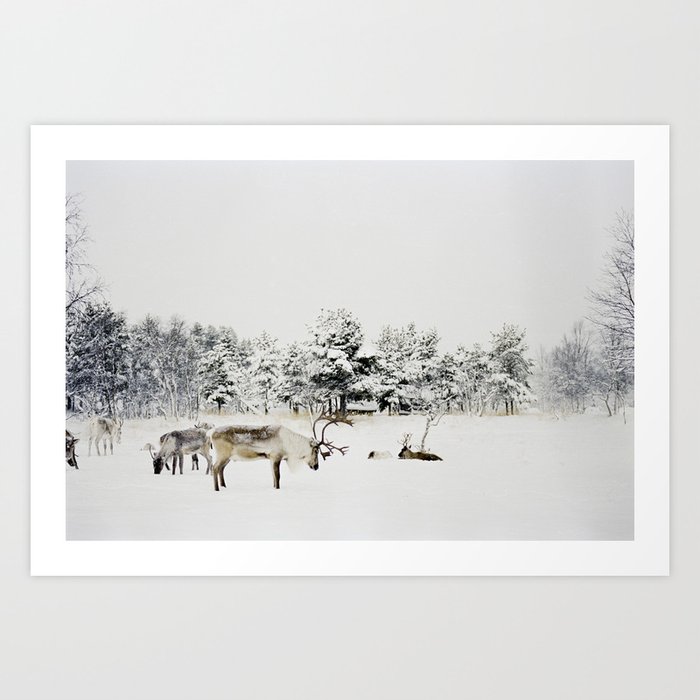 Lapland Art Print | Photography, Film