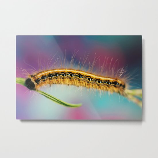 A Journey of a Thousand Miles Metal Print