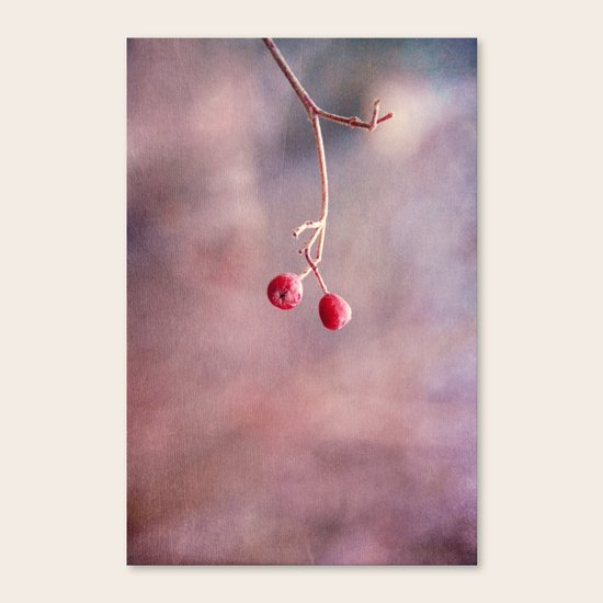 flirt Canvas Print