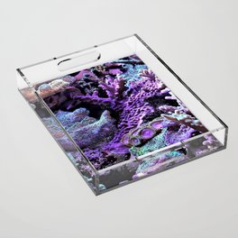 angelfish Acrylic Tray