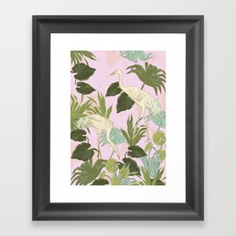 Tropical Birds Framed Art Print