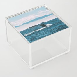 Ocean Whale Acrylic Box