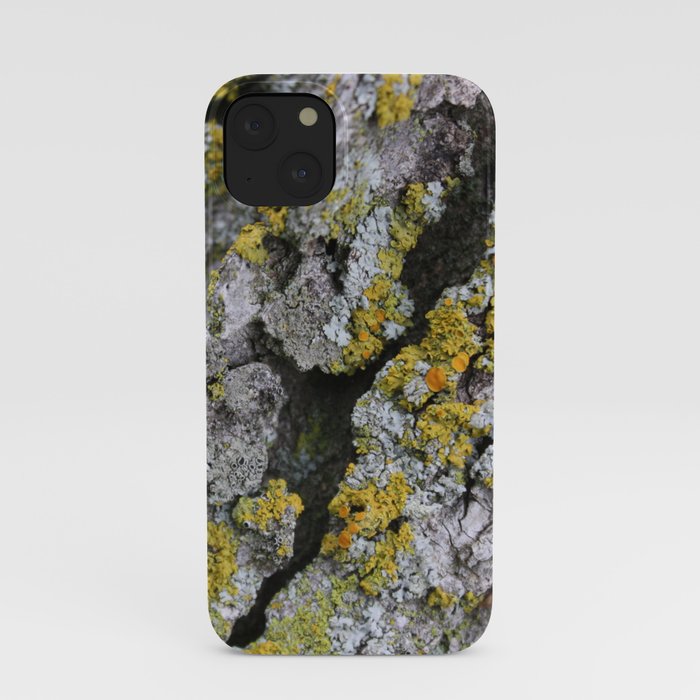 Lichen #1 iPhone Case