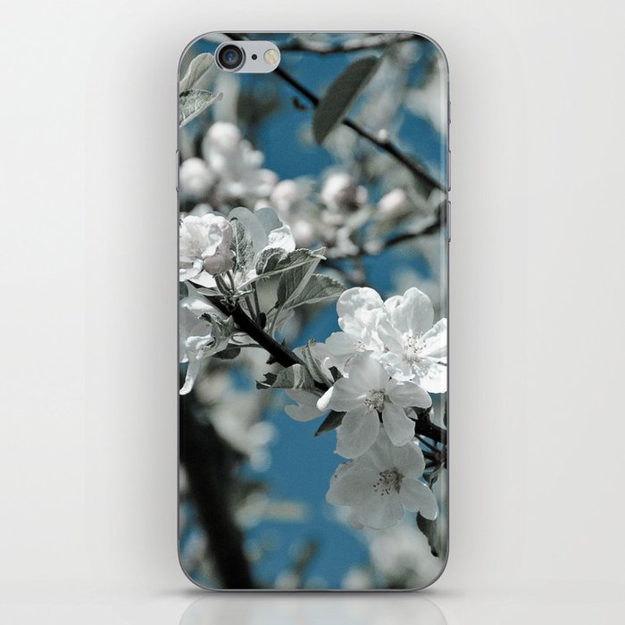 Almond Blossom iPhone Skin