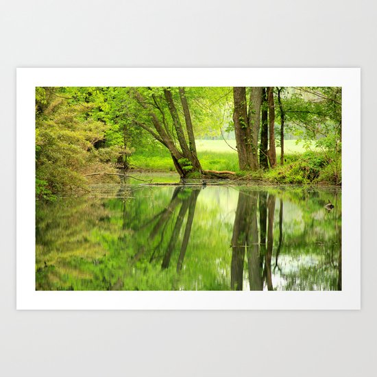 Spring Reflections Art Print