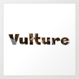 Vulture Art Print | Honeybuzzard, Marauder, Turkeyvulture, Bird, Buzzard, Vautour, Griffon, Blackvulture, Predator, Graphicdesign 