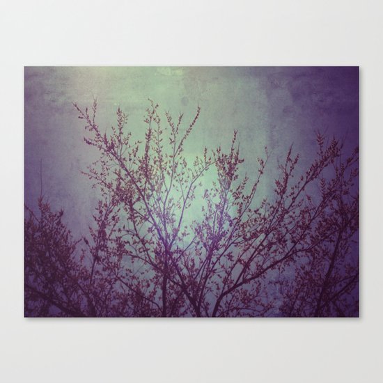 lilac in the air Canvas Print