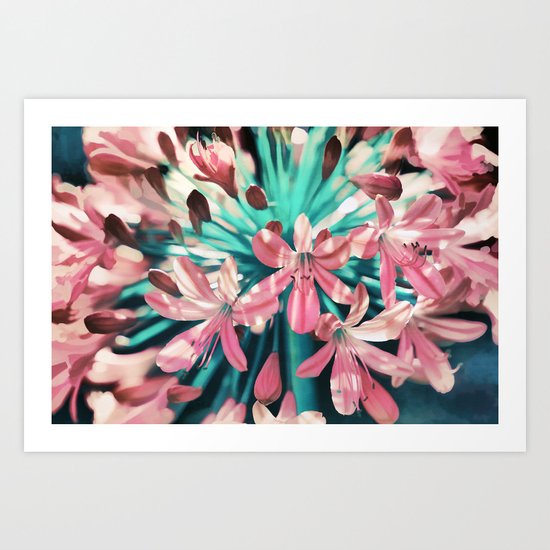 Sunny Agapanthus Flower in Pink & Teal Art Print