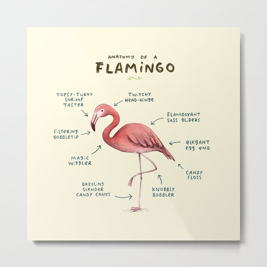 Anatomy of a Flamingo Metal Print