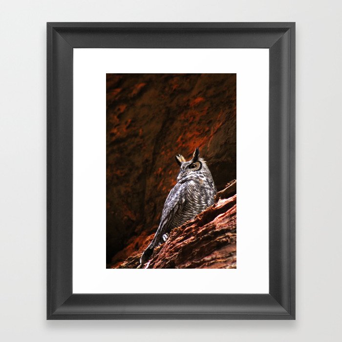 Great Horned Owl in the Rocks Framed Art Print