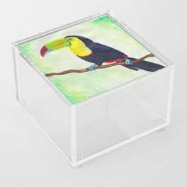 Talkative Toucan Acrylic Box