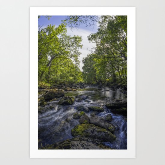Summer River Art Print
