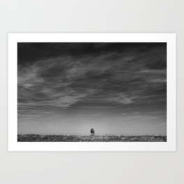 LonelySheep Art Print