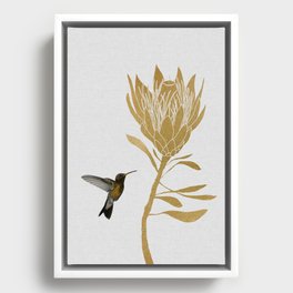 Hummingbird & Flower I Framed Canvas
