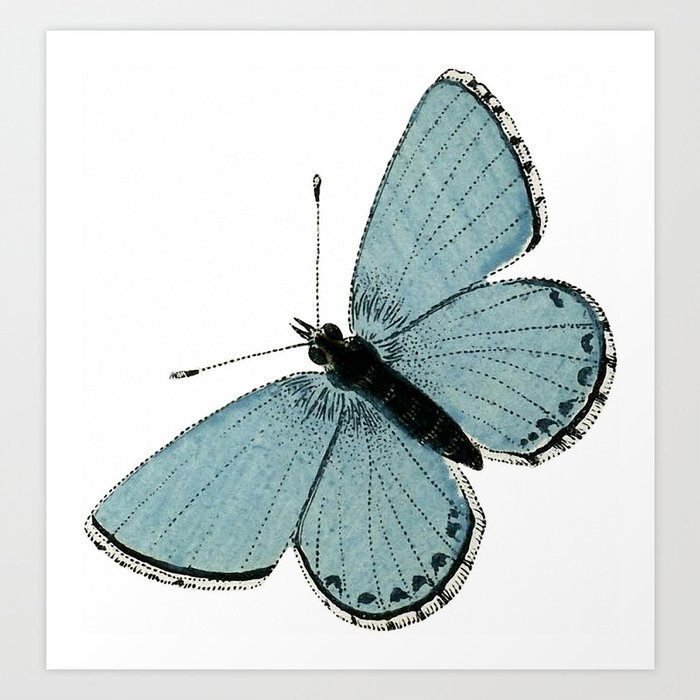 Vintage Blue Butterfly Art Print By Nectartea Society6 Vintage Blue Butterfly Art Print By Nectartea Society6