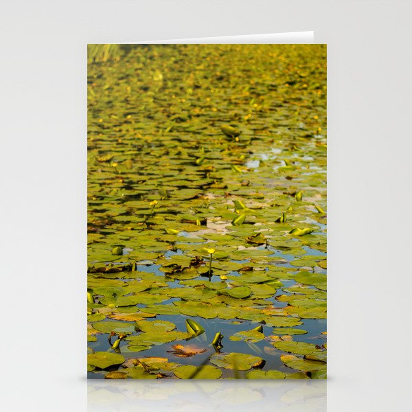 Lily pads Stationery Cards