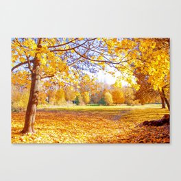 Beautiful Nature in Fall - The perfect gift for an adventure addicted Canvas Print