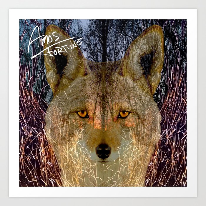 Long Night Coyote Art Print