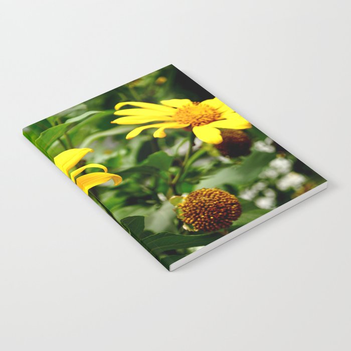 yellow daisys Notebook