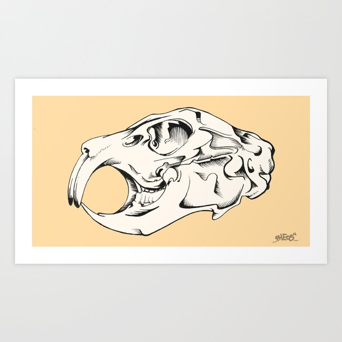 Featured image of post Rabbit Skull Drawing Choose from 16000 rabbit skull graphic resources and download in the form of png eps ai or psd