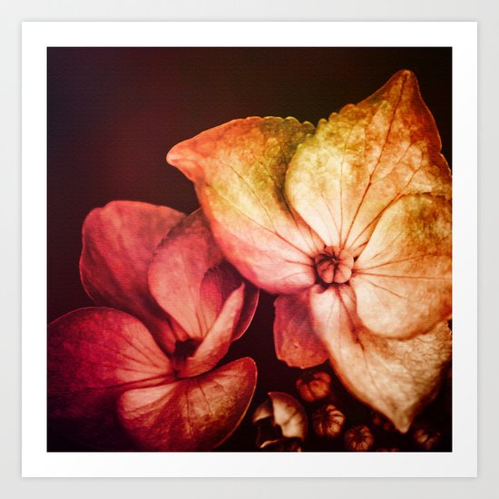 Dream Flower 6 Art Print