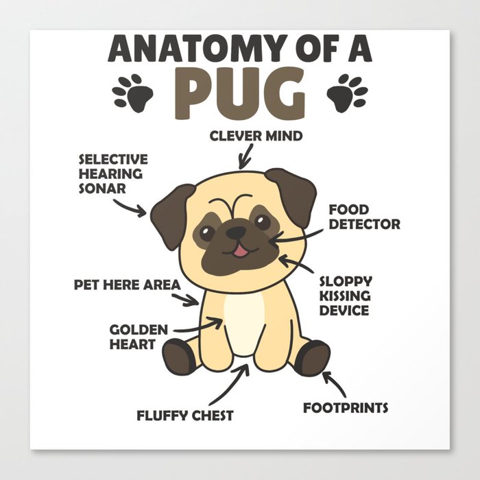 Pug sweet hotsell
