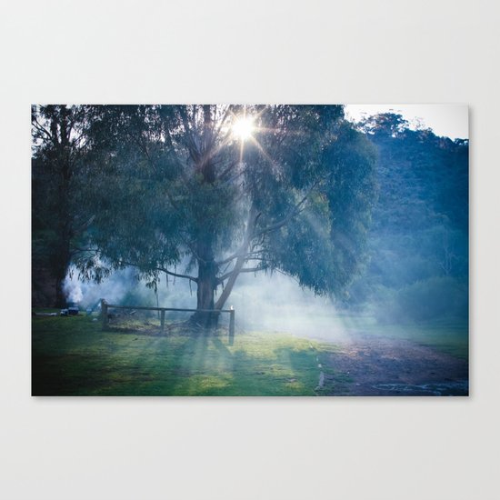 lerderderg state park Canvas Print